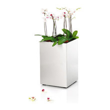 Planters