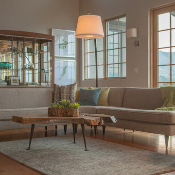 Mid-Century Style Furnishing