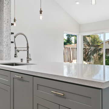 Full House Remodel Fremont JV