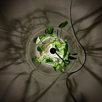 Vase & Leuchte