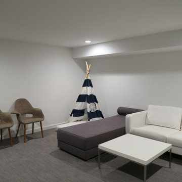 Basement Renovations