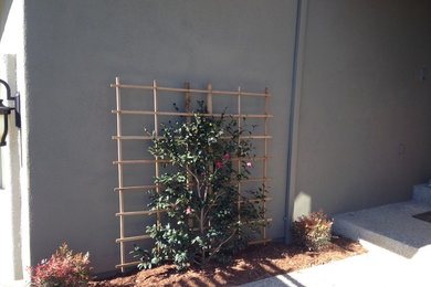 Photo of a landscaping.