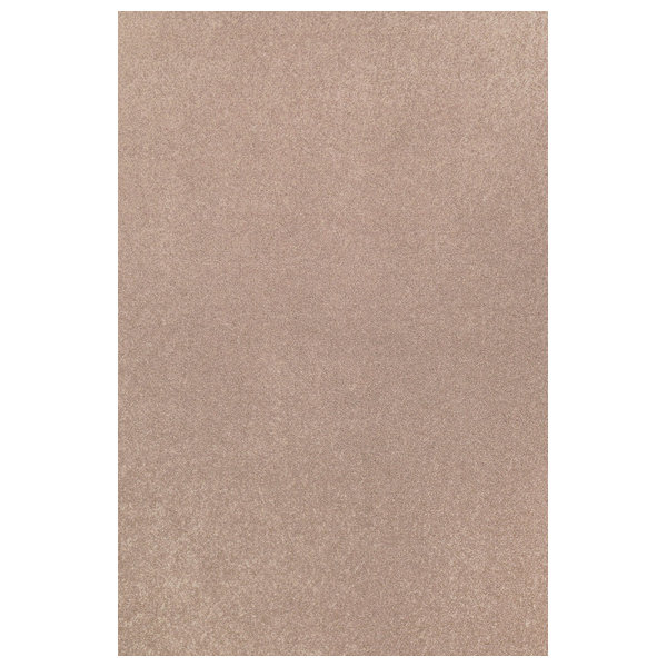 Broadway Collection Pet Friendly Area Rug, Beige, 2'x4'