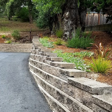 Aptos Hills Deer-Resistant and Drought-Tolerant