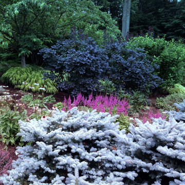 Gardens: Perennial and Mixed Borders
