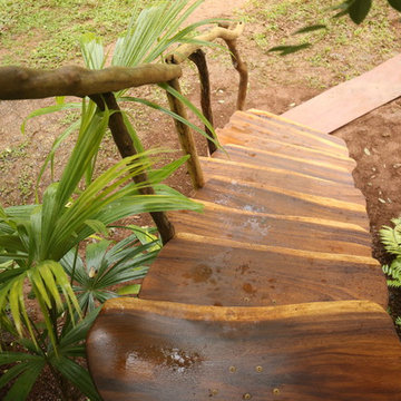 Treehouse Masters Project