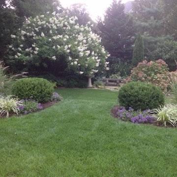 Summer Landscape