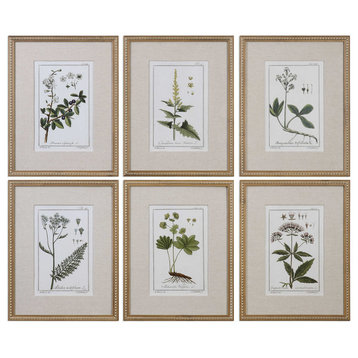 Uttermost Green Floral Botanical Study Framed Art Prints, Set of 6