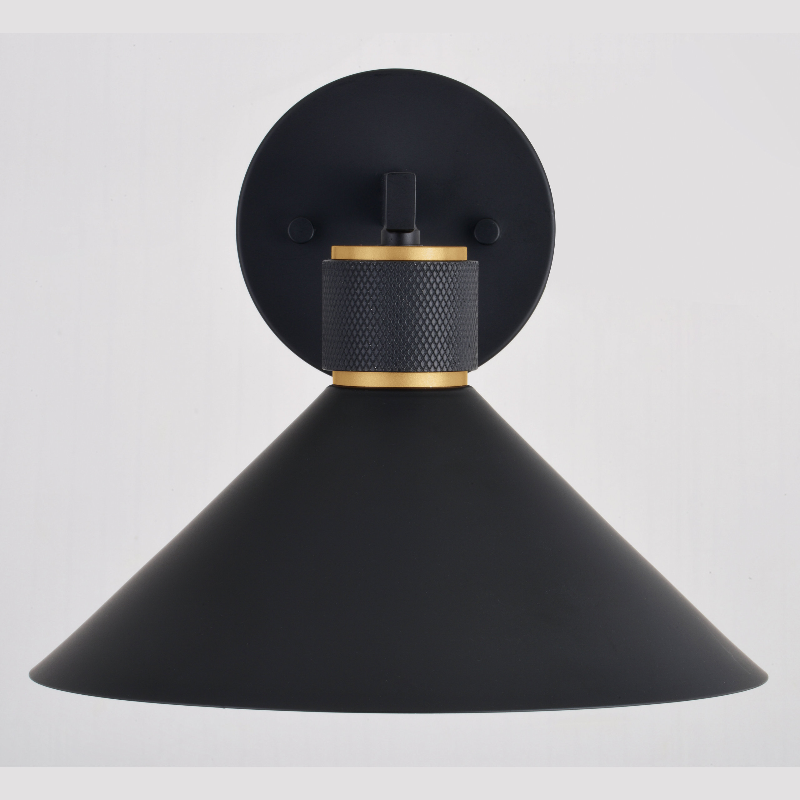 Dunbar 1 Light Matte Black and Gold Outdoor Wall Sconce Metal Shade, 10