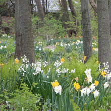Jon'S Woodland Oasis