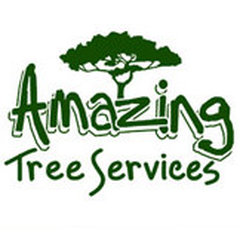AMAZING TREE SERVICE