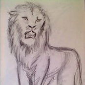 Foto von Katrin Gebhardt