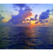 Foto von Troy Westover