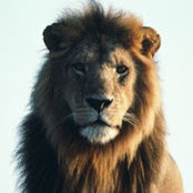 CE Cochran's photo