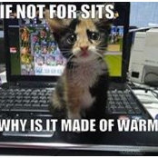 Terry Suchernick's photo