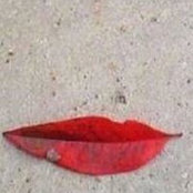 Photo de Maryse Rizza