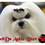 Lisa Blenderman's photo