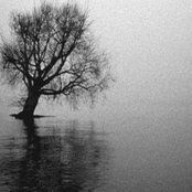 Cindy Hernandez's photo