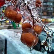 Karen Venn's photo