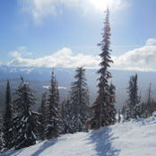Elise Marsden's photo