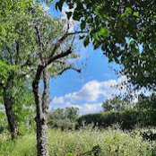 Photo de Agnès Margalef
