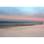Lori Landwehr's photo