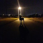 Ashley Simpson's photo