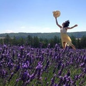 Yingying Wang's photo