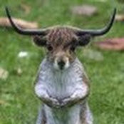 JP Sistenich's photo
