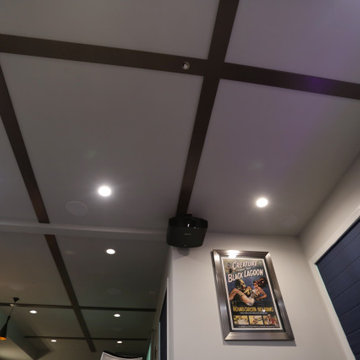 Blue Luxury Media Room