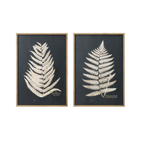 Wood Framed Wall Décor With Fern Leaf