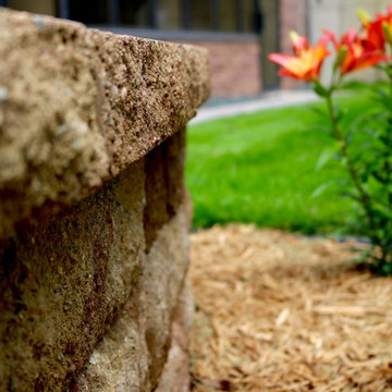 Softscape (Flowers, Flower beds and more)