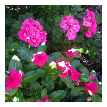 Seasonal Makeover
