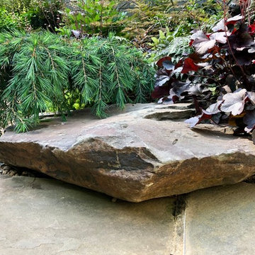 Boulder and Heuchera.