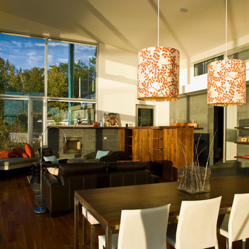 Elk Rapids Modern