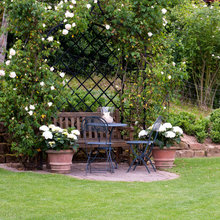 Landscape Ideas