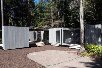Madrona