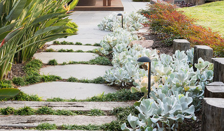 21 Urban Garden Paths to Follow