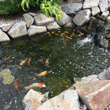 Retirement home pond & entrance