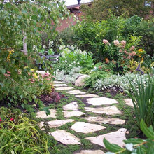 sharon_bowen7's ideas