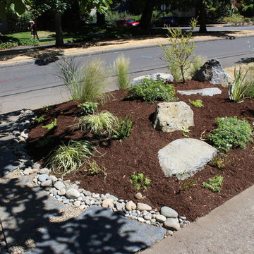 A garden under a Black Walnut