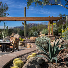 AZ Plant & Landscaping Ideas