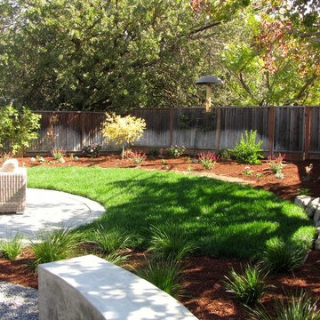 Cupertino Contemporary