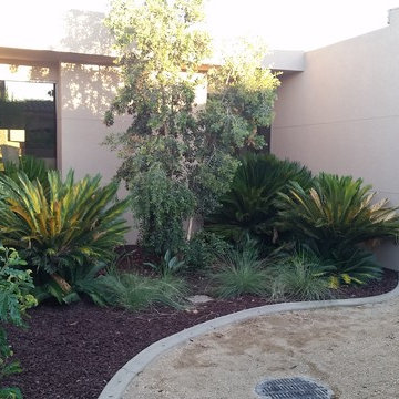 Moskowitz Residence