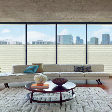 Hunter Douglas Window Treatments