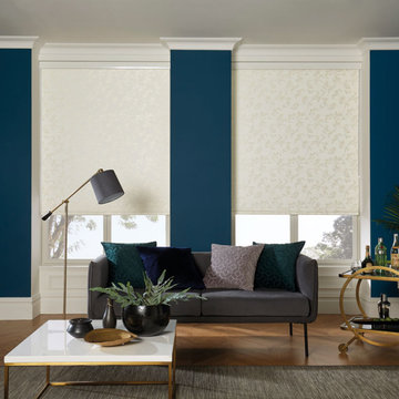 Open Light Designer Roller Shades