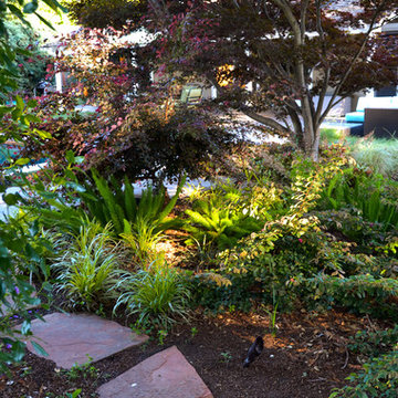 Geometry Overgrown: a Modern Pool & Landscape