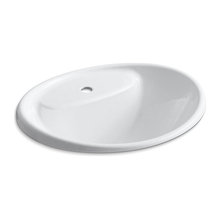 Guest Bath - Lower level