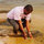 colombe_yoha