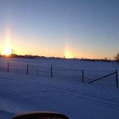 Susan Bourhis's photo